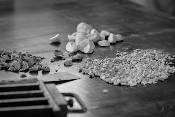 Steine, Granulat, Muscheln, Schwarz-Weiß